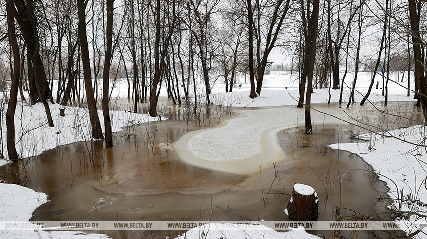 Подъем реки сож. Талая вода. Вода в реке затапливает. Талый снег.