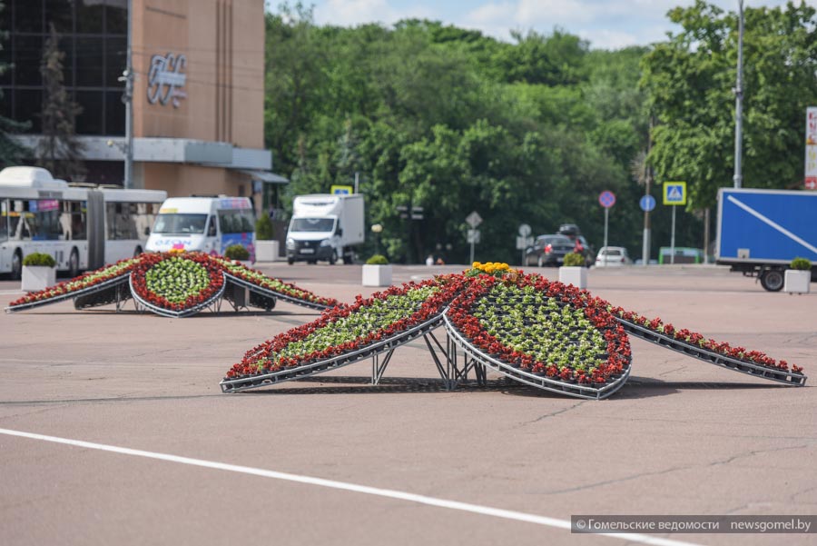 Купить Цветы В Гомеле Цены